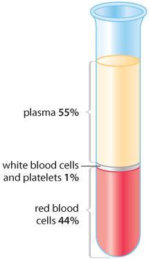 Blood 2 elements: 1. Fluid portion: Plasma Water, dissolved gases, proteins, sugars, vitamins, minerals, waste 2.