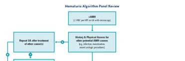 org October 2012 10 AUA Guideline Algorithm (2012) for Asymptomatic Microhematuria (AMH) Complete Urological
