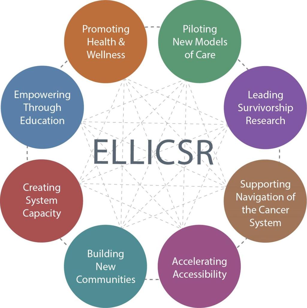 A Centre for Innovation and Research ELLICSR Strategic Priorities Our platforms are: Education Clinical Care Research & Innovation Our execution