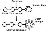 Anti-Xa Activity Assay? anti-xa? Add Factor Xa Reagent Add Factor Xa Chromogenic Substrate * Patient Plasma anti-xa anti-xa anti-xa *Shannon M.