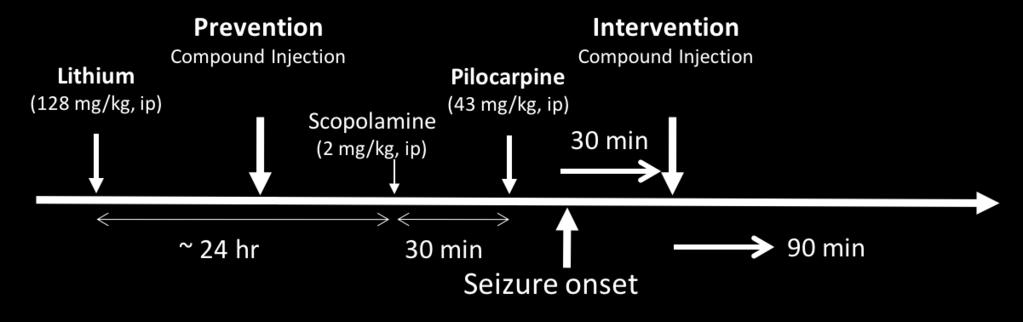(Benzodiazepineresistant) 30 min after seizure onset Intervention (Benzodiazepineresistant) 30 min after seizure onset
