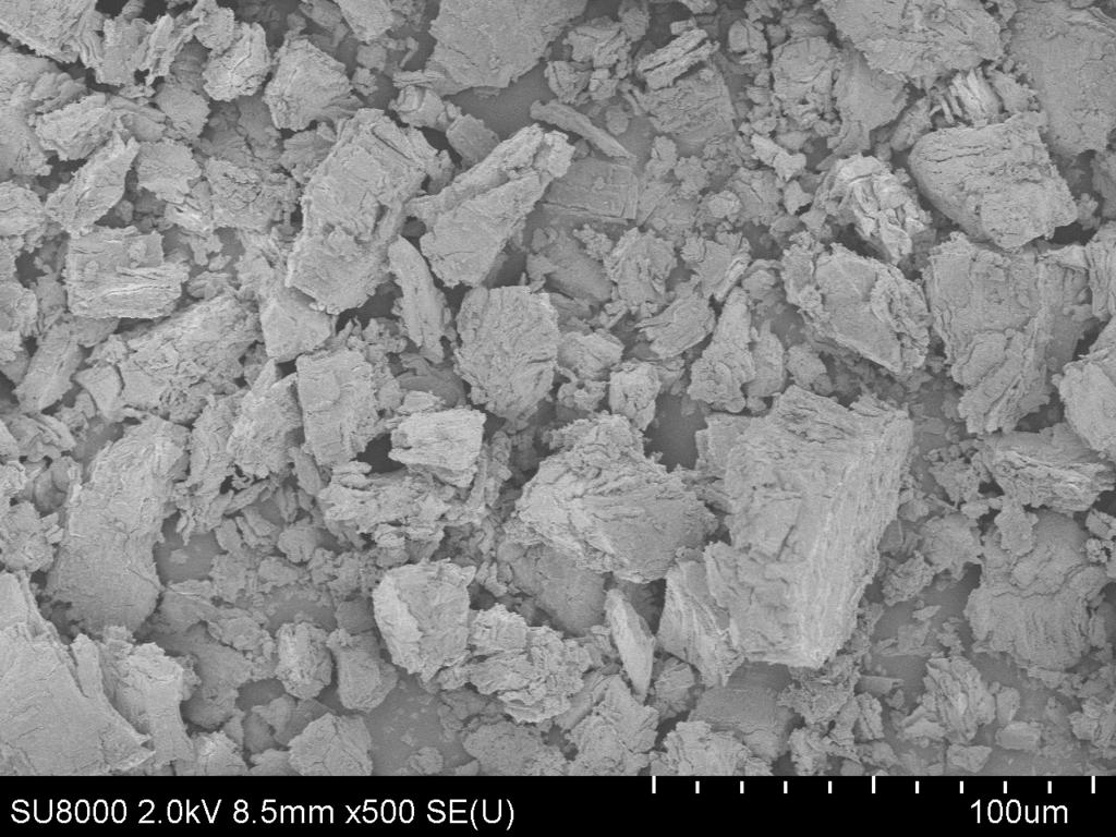 Microscopy (FE-SEM) image of calcium