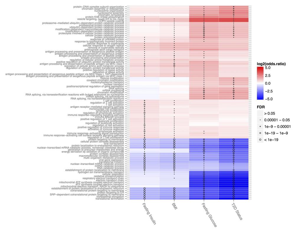 Supplementary Figures Supplementary Figure 1. Heatmap of GO terms for differentially expressed genes.