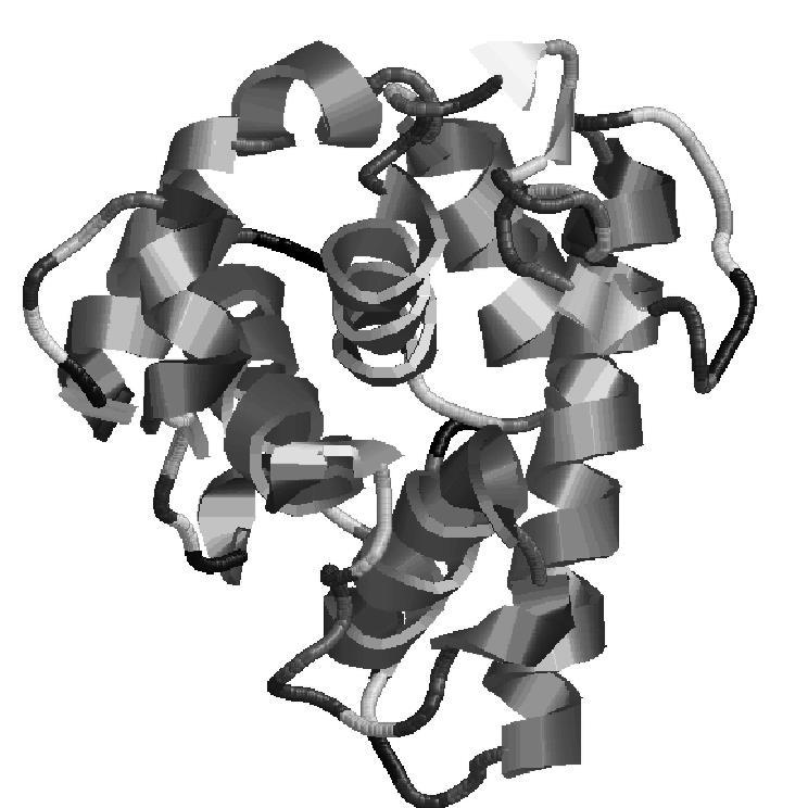 6. Suppose a piece of protein consisting of four amino s undergoes hydrolysis. How many water molecules must be used in order to break apart this small protein? 7.