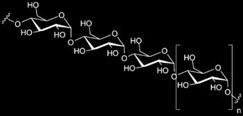 Sugars Monosaccharides Glucose, Fructose Disaccharides Lactose (glucose and galactose) - milk Maltose (glucose and glucose) - Sucrose