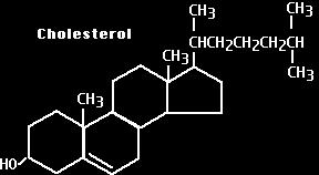 LIPIDS/FATS CHOLESTEROL ESTROGEN Female steroid hormone made from