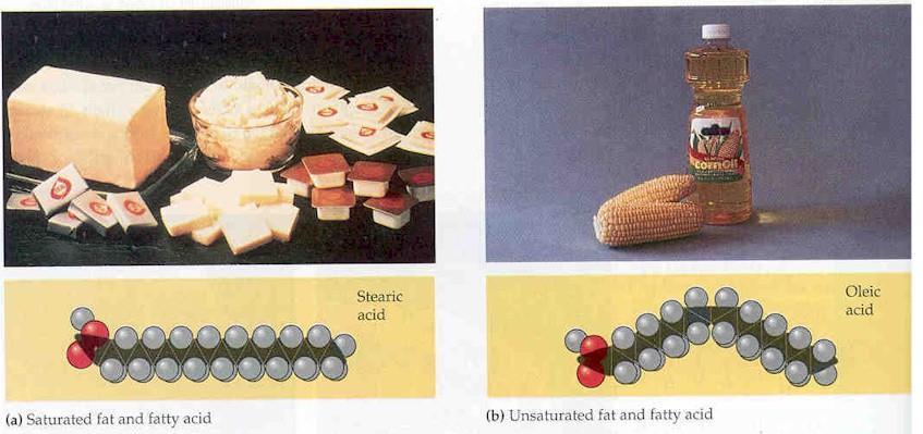 LIPIDS/FATS SATURATED FAT (SOLID) Straight fatty acids allow molecules to tightly