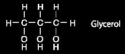 Lipids Lipids are composed of C, H, and O ALL