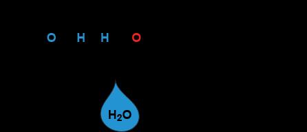 Biomolecule Synthesis and Degradation Dehydration