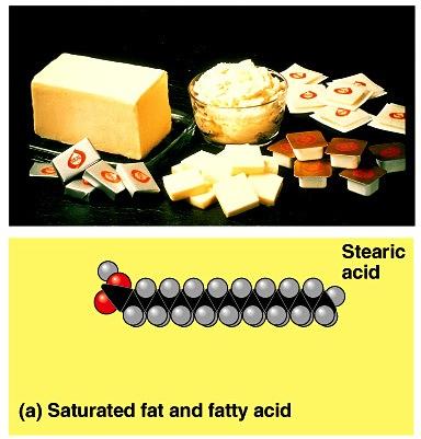 Saturated fats All C bonded to No C=C double