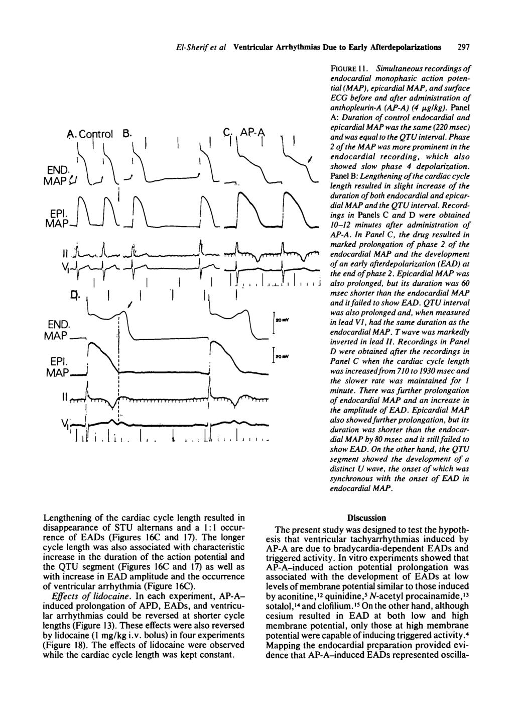 Discussion The present study was designed to test the hypothesis that ventricular tachyarrhythmias induced by AP-A are due to bradycardia-dependent EADs and triggered activity.