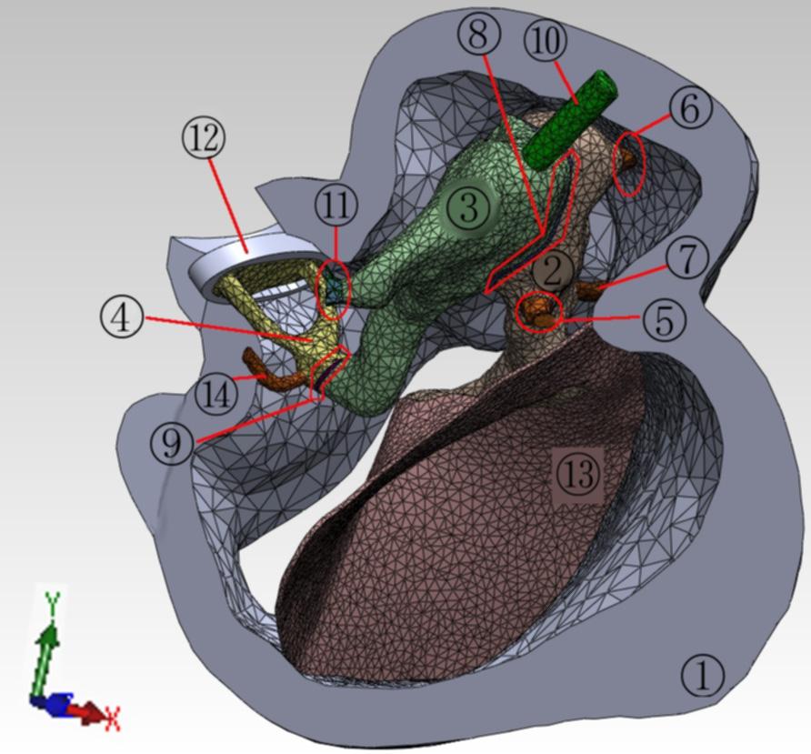 66 Surface Effects and Contact Mechanics XI Figure 6: Geometric model of the middle ear. 3.