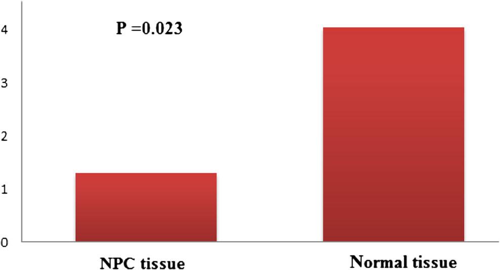 Fig. 2 The relative expression level of mir-494 between NPC tissues and normal tissues clinicopathological features are classified in Tables 1 and 2.