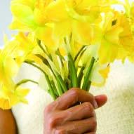 Income Development Other Fundraising Resources Strategies Golf Growth in golf and Daffodil Days has been relatively modest, as nationwide focus has been on growing priority strategies.