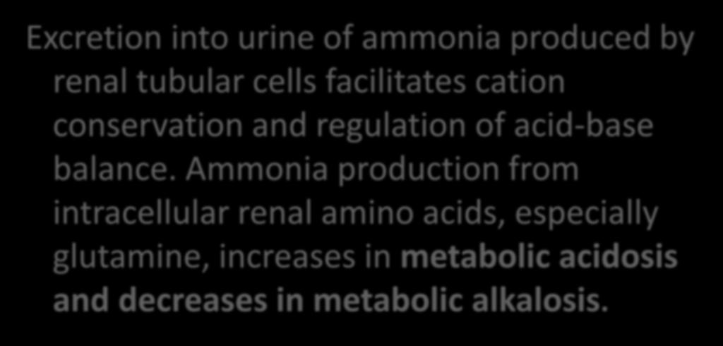 Formation & Secretion of Ammonia Maintains Acid-Base Balance Excretion into urine of ammonia produced by renal tubular cells facilitates cation conservation and