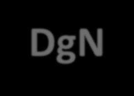 DgN versus monoenergetic