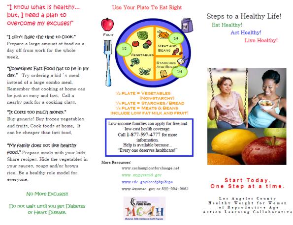 Los Angeles County HWWALC Activities Disseminated healthy weight messages Developed provider and consumer