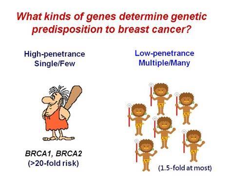 Genetics in cancer High penetrance: TP53, BRCA1, BRCA2, CDH1, APC, MLH1,