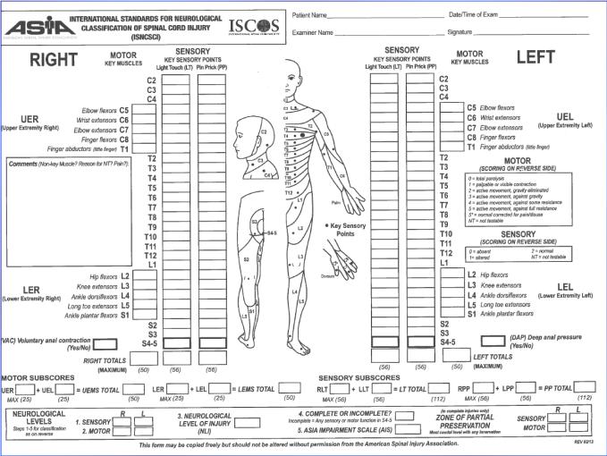 Determining Sensory Level Most caudal level where both pin prick and light touch scores are normal (2) Specify a sensory level for each side of the body Determining Motor Level Most caudal level with