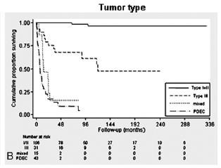 Mixed tumours: clinical implications Prognostic relevance Colorectal MiNENs Gastric MiNENs