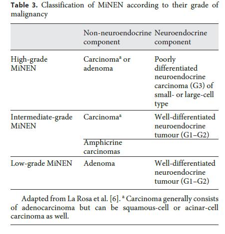 Mixed tumours: clinical implications Treatment «based on the most aggressive component» no definitive criteria of diagnosis : only retrospective identification in some cases (metastasis)