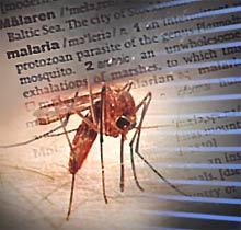 MALARIA DIFFICULT DISEASE TO TREAT Caused by the bite of an infected female