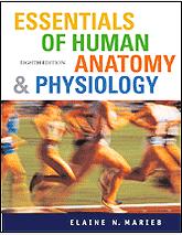 Human Anatomy and