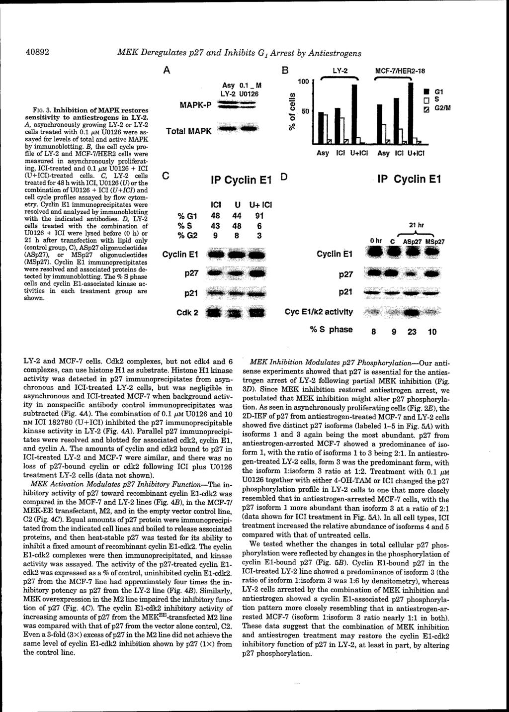 40892 MEK Deregulates p27 and Inhibits G x Arrest by Antiestrogens FIG. 3. Inhibition of MAPK restores sensitivity to antiestrogens in LY-2.
