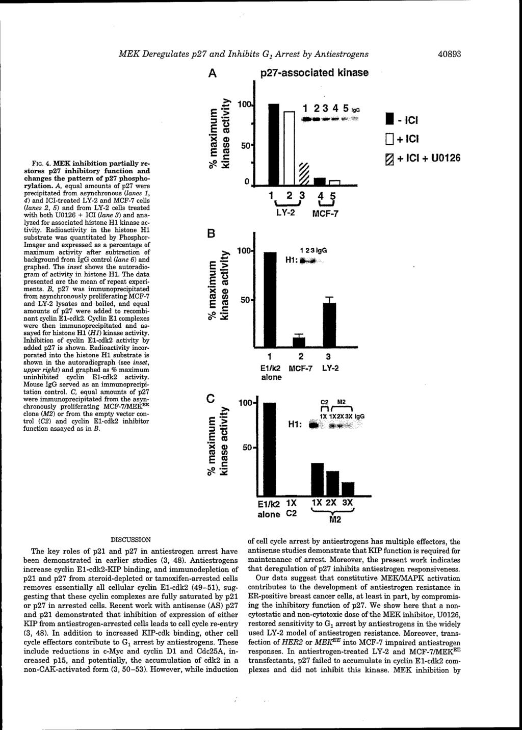 MEK Deregulates p27 and Inhibits G 2 Arrest by Antiestrogens A p27-associated kinase 40893 FIG. 4. MEK inhibition partially restores p27 inhibitory function and changes the pattern of p27 phosphorylation.