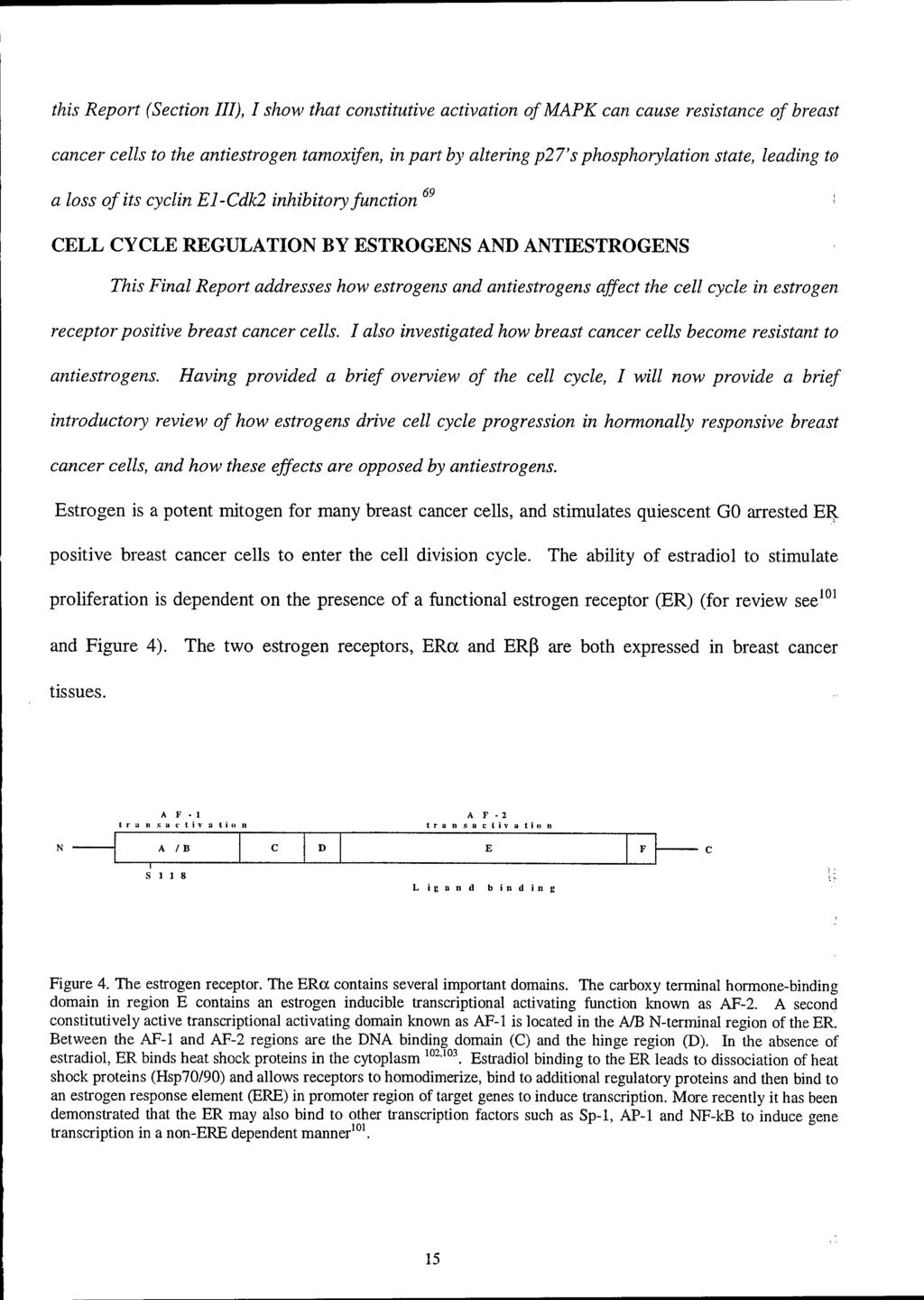 this Report (Section III), I show that constitutive activation ofmapk can cause resistance of breast cancer cells to the antiestrogen tamoxifen, in part by altering p27's phosphorylation state,