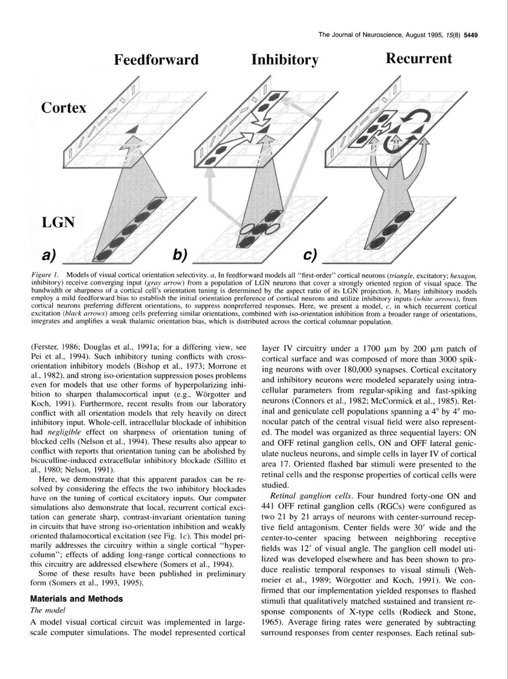 The Journal of Neuroscience, August 1995, 7~178) 5449 Feedforward Inhibitory Recurrent Figure 1. Models of visual cortical orientation selectivity.