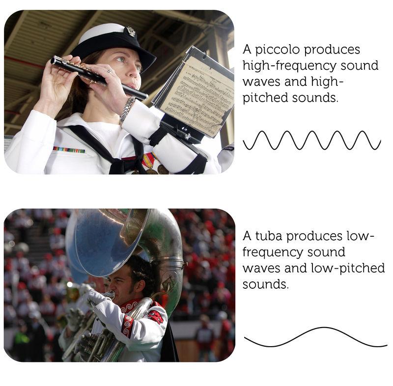 1.35. Frequency and Pitch of Sound www.ck12.org FIGURE 1.72 sounds with frequencies too high for the human ear to detect. Other animals can hear even higher-frequency sounds.