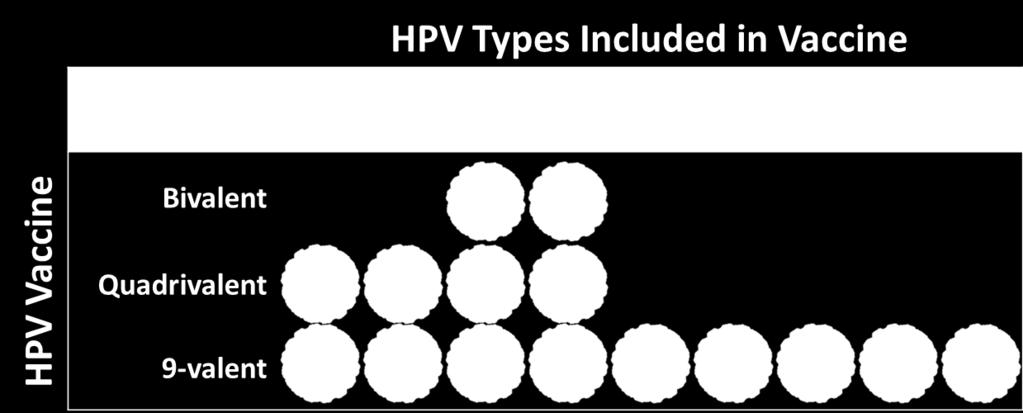 Genital warts ~66% of ~15% of HPV