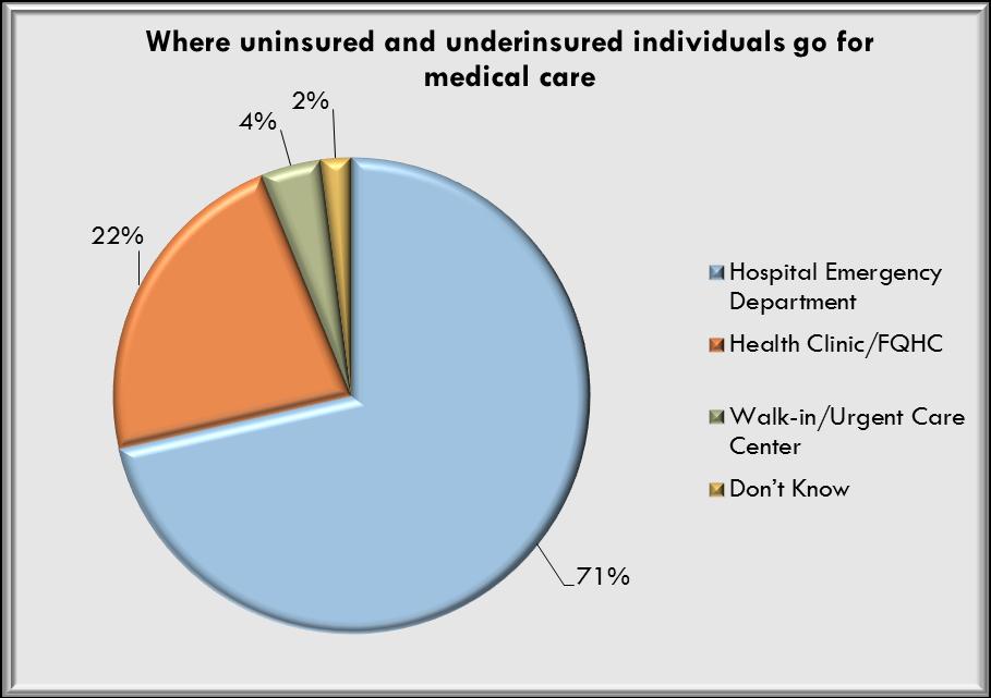 followed by the uninsured/underinsured, the Hispanic/Latino population, and individuals with mental health issues as the groups most underserved.