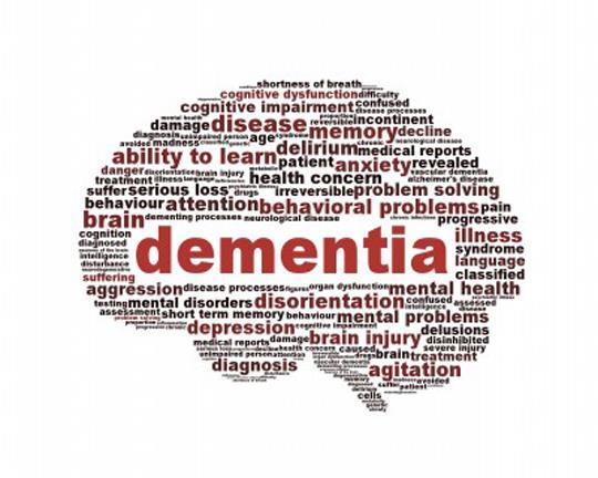 Intellectual Disabilities and Dementia Learning to