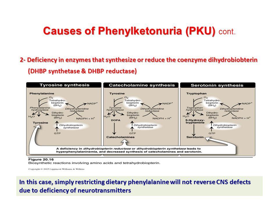 Dihydropteridine reductase deficiency: Restricting dietary Phe does not reverse the CNS effects due to deficiencies in neurotransmitters.