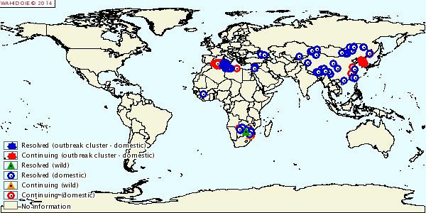 2015: Changing epidemiological patterns O: North Africa Multiple lineages East Asia Outbreaks