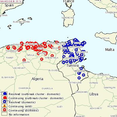 Example: Molecular Epidemiology O/ME-SA/Ind2001 FMD Outbreaks in Libya, Tunisia and Algeria New lineage introduced into North Africa Source: Indian sub-continent Increased onward threats to Morocco