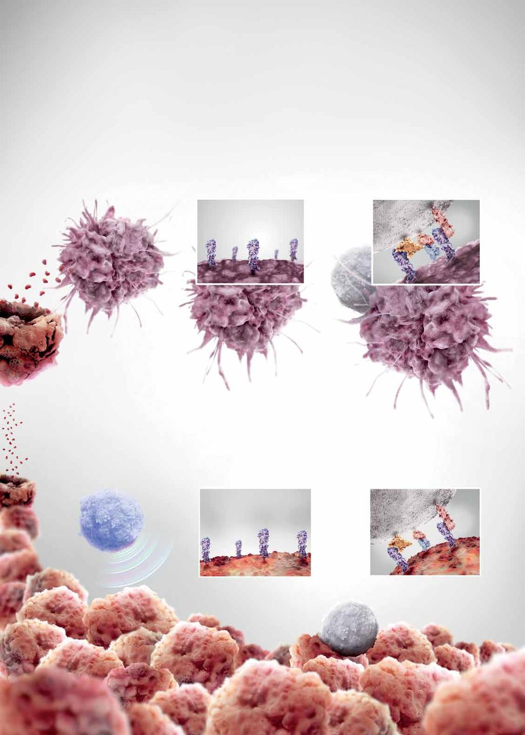 Active Within the tumor microenvironment Steps 1-3: Initiating and propagating anticancer immunity 1 may inhibit T-cell activity in the tumor microenvironment Dendritic cells capture cancer and then