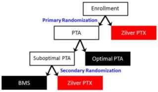 5-year Primary Patency (PSVR < 2.0) Zilver PTX vs. Standard Care 66.4% Zilver PTX p < 0.01 log-rank 43.