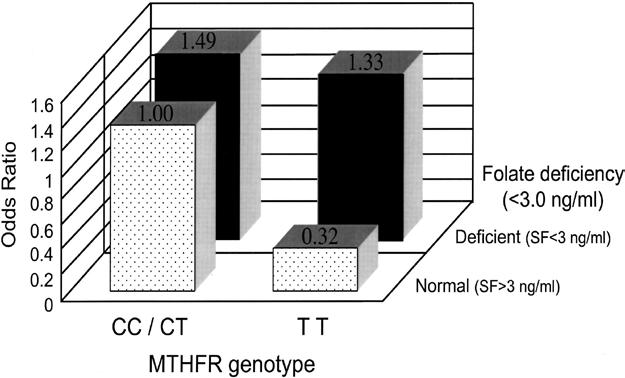 Benefit and Risks of MTHFR Polymorphism COMMON Allele Gene sequence..gcg GGA GCC GAT Protein Sequence.. Ala Gly Ala ASP 677 C -> T Allele Gene Sequence.