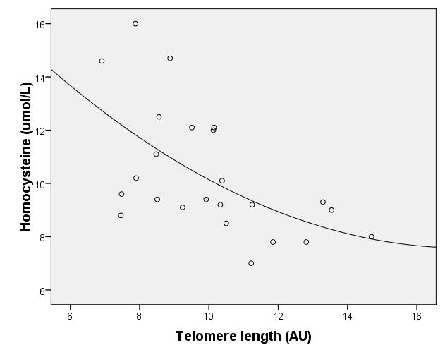 Telomere length in older men is significantly associated with plasma folate and homocysteine Telomere length is
