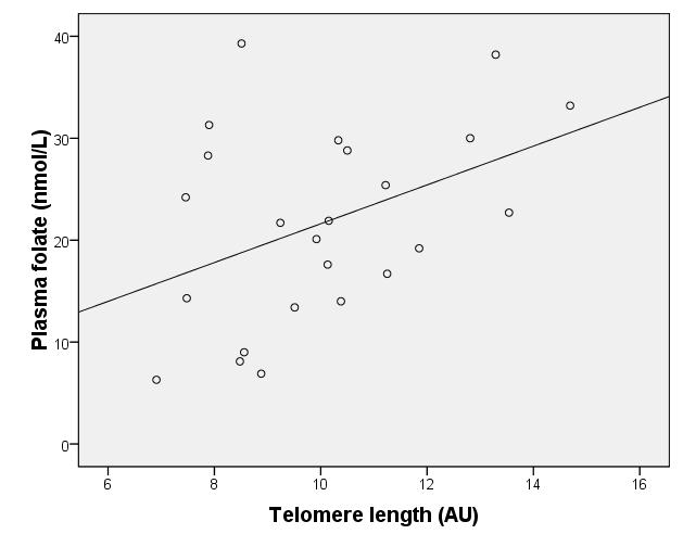 Telomere length is positively correlated with plasma folate in males but not in females. Males; r = -0.57, p = 0.