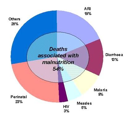 Major causes of death among children under five, worldwide, 2000 Source: