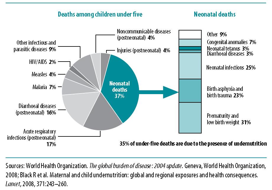 Major causes of death among children under five, worldwide, 2004 Source:
