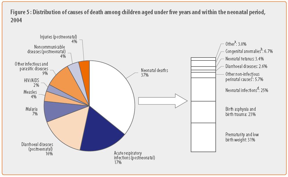 The global burden of disease Six causes of death account for 73% of child mortality: Diarrhea (17%) Pneumonia (17%)