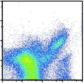 cancer cells were obtained by flow cytometry. Representative dot plots are shown, n = 5 mice.