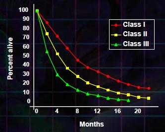 Prognosis: Survival by RTOG RPA Class Class Class I <65, KPS >70 Controlled 1 No extracranial dz Class II Everyone else