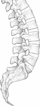 Indications, Contraindications and Warnings Indications The ProDisc-L Total Disc Replacement is indicated for spinal arthroplasty in skeletally mature patients with degenerative disc disease (DDD) at