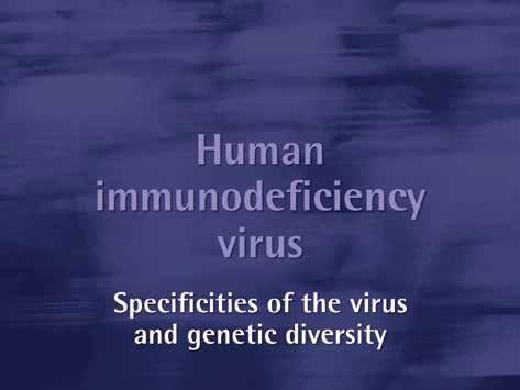 HIV basic knowledge and stigma reduction in health care settings The human immunodeficiency virus Slide 20 The agent responsible for AIDS (acquired immunodeficiency